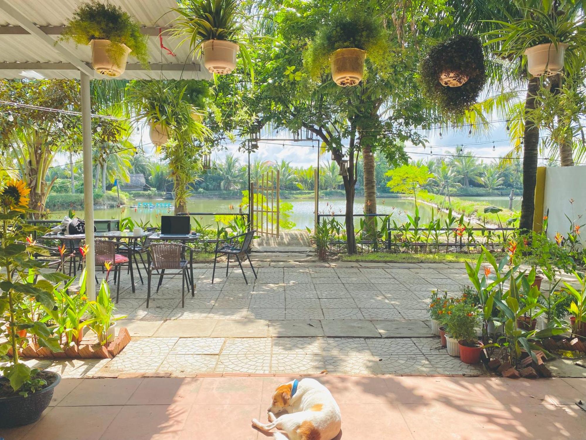 Laoxao Lakeview Homestay Hoi An Exterior photo